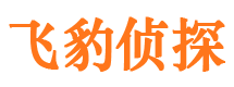 三都侦探公司